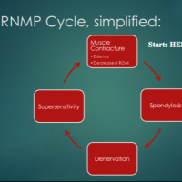 Clinical Insight: Chronic Pain and the Radiculo-Neuropathic Myofascial Pain Model