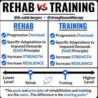 CI: Structured Principles w/ Flexibility