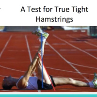 Clinical Insight: Hamstrings-Tight vs. Taut