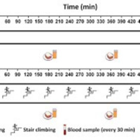 Research Review: Exercise Snacks