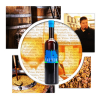 Radical Winemaking with Sasa Radikon