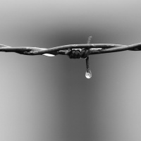 Auschwitz: La fábrica de muerte