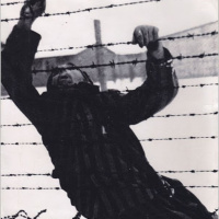 El bibliotecario de Mauthausen