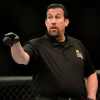 489 | Arbitraje y puntuación en MMA