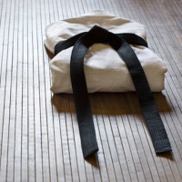 478 | Valores en las Artes Marciales