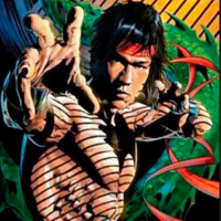 511 | Noticias marciales