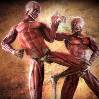 822 | El Arte Marcial... ¡MÁS LETAL!