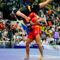 429 | Historia del Sanda / Sanshou