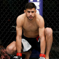 259 | Actualidad de las MMA