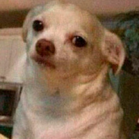 957 | ¿Quién es NEITHAN HARDY? (MMAdictos Podcast)