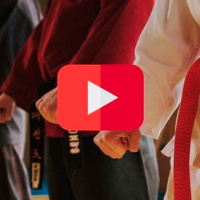 992 | quÉ ofrece youtube de artes marciales