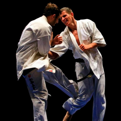 Dragonz | Artes Marciales Y Deportes De Combate