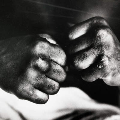 Dragonz | Artes Marciales Y Deportes De Combate