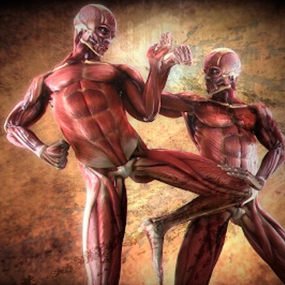 Dragonz | Artes Marciales Y Deportes De Combate