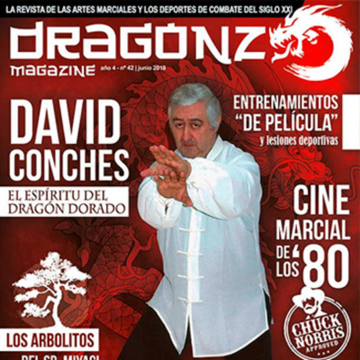 Dragonz | Artes Marciales Y Deportes De Combate