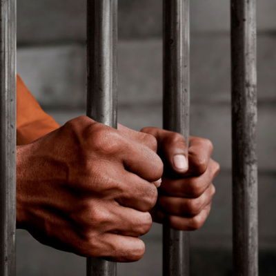 Dragonz | Artes Marciales Y Deportes De Combate