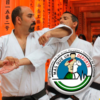 Dragonz | Artes Marciales Y Deportes De Combate