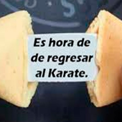 Dragonz | Artes Marciales Y Deportes De Combate