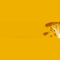 Tree Of A Thousand Lives, Part 4: First Hurdle