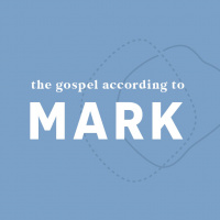 Blasphemy of the Holy Spirit (Mark 3:23-35) | Mark Series | July 23rd | David Tanner