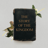 Israel: The Kingdom Begins Again | Kingdom Series | May 11th | David Tanner