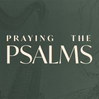 How the Psalms Teach Us To Witness | Praying the Psalms | July 14th | Gary Villa
