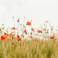 Prepare the Way | Standalone Sermon | Sep 8th | David Tanner