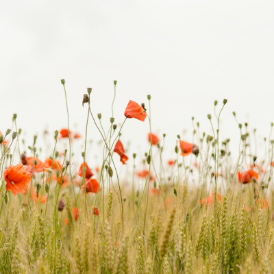 Hope Church Albuquerque Westside Sermons