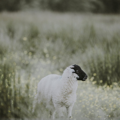 Hope Church Albuquerque Westside Sermons