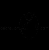 Joakim och Operation Tulip