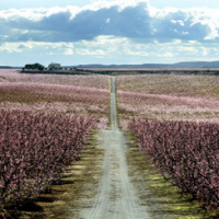 Visualització del Jo Futur