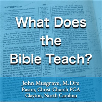 Search “What Does the Bible Teach?” for more content!