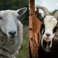 The Next Event: Jesus Return, Part Two 