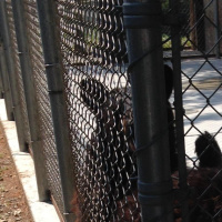 Random thoughts on bears and vacation