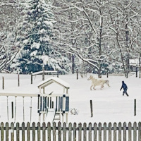 QDP Ep 164: De Vitis Nostris Mutatis