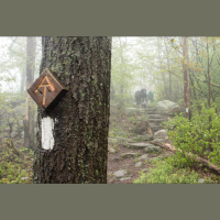 QDP Ep 173: De Locis Desideratis (Tertia Pars)