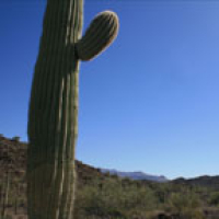 Im The Divider Podcast11