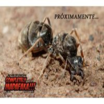 And Now For Something Completely Madafaka!!!