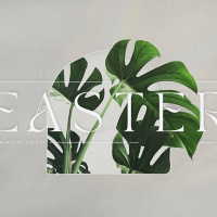 Easter | Darren Whitehead