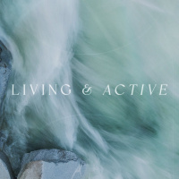 Living  Active | July 30th, 2023