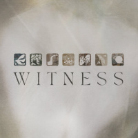 Witness | Darren Whitehead