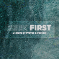 Seek First | January 15th, 2023