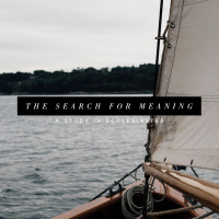 The Search for Meaning - Week 4