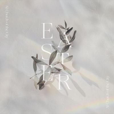 Church Of The City - Franklin