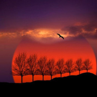 Episode 311: NEW DEAL? HOW DO WE WIN?