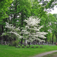 Death and dying- Personal and Global