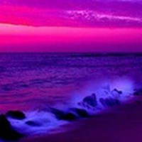 SURVIVAL - THE BASICS FIRST - PART 1