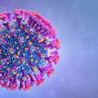 Episode 270: WHAT IS WRONG WITH YOU PEOPLE?