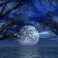 Episode 213: MONDAY MADNESS