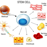 Episode 252: GRAPHENE OXIDE, BORDERS, BIDEN, GLUTATHIONE